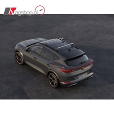 Cupra Formentor Dakdragers